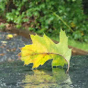 Meet your Posher, Andy